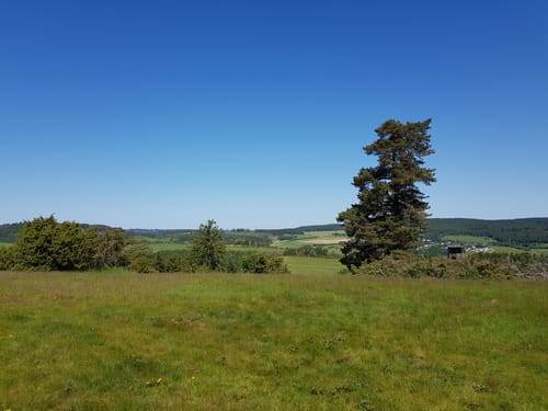 Bergheidenweg (Traumpfad)