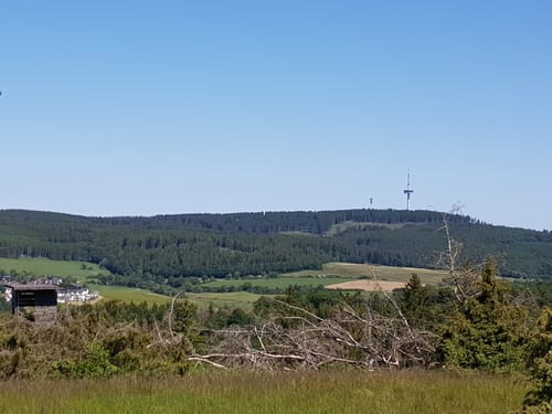 Bergheidenweg (Traumpfad)