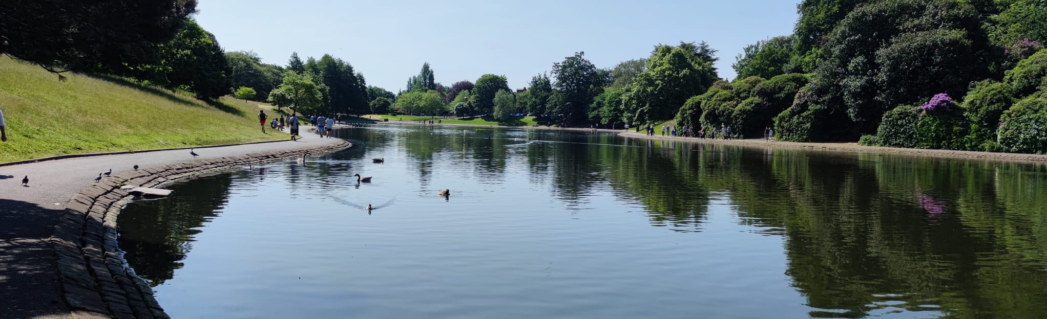 Sefton Park Loop 109 Reviews, Map Merseyside, England AllTrails