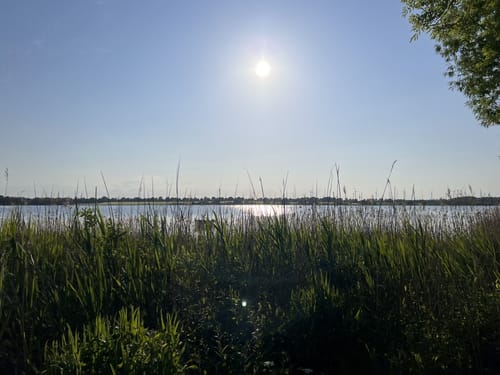 Scharbeutzer Heide und Großer Pönitzer See