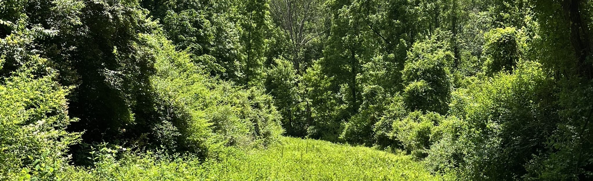 Ridley Yellow Trail to White Trail Loop, Pennsylvania 497 Reviews