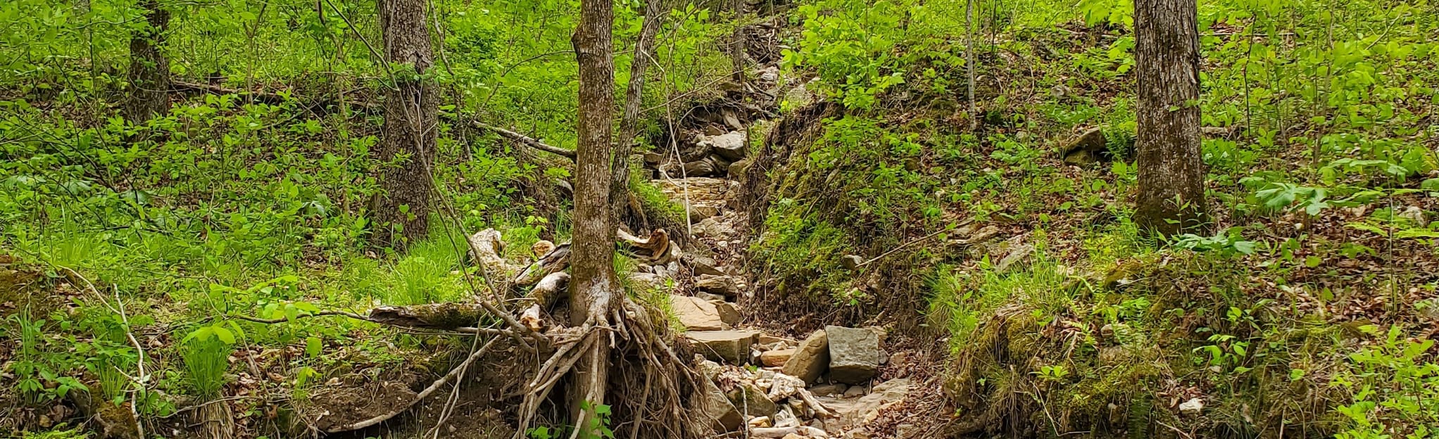 North Fork River Ranch Pink Trail, Missouri 34 Reviews, Map AllTrails