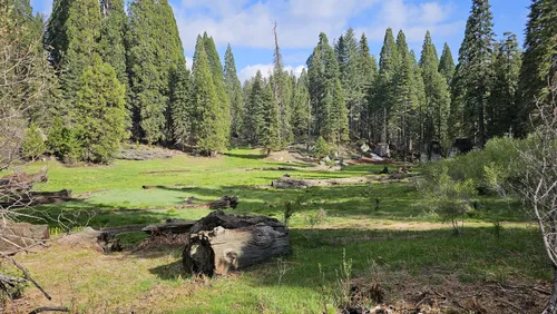 Sequoia national park clearance alltrails