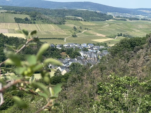 Graf-Georg-Johannes-Weg (Moselsteig Seitensprung)