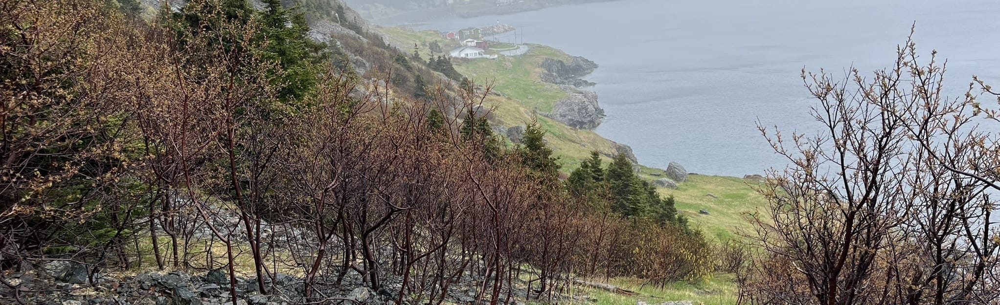 East Coast Trail Brocks Head Pond Trail 98 Reviews, Map