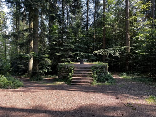 Waldpfad Calw