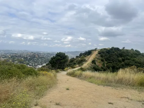 10 Best Trails and Hikes in Glendale