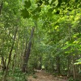 Humber River Recreation Trail, Ontario, Canada - 927 Reviews, Map ...