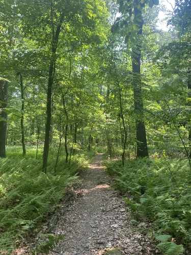 French creek state park mountain online biking