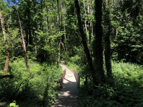 10 Best Hikes and Trails in Tryon Creek State Natural Area | AllTrails