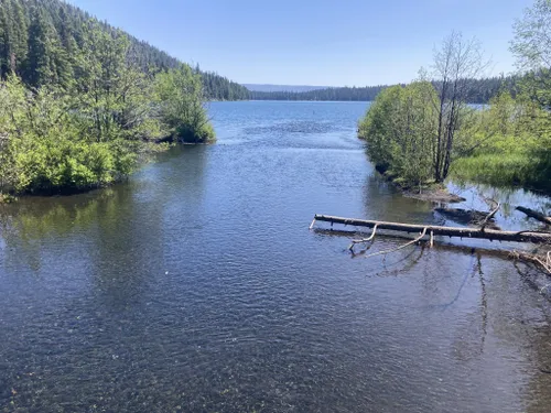 10 Best Fishing Trails in Oregon
