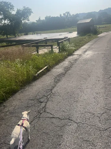 Best Hikes and Trails in Whites Creek Park AllTrails