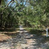 Morris Bridge Park [CLOSED], Florida - 547 Reviews, Map | AllTrails