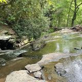 Falls of Hills Creek Trail, West Virginia - 339 Reviews, Map | AllTrails