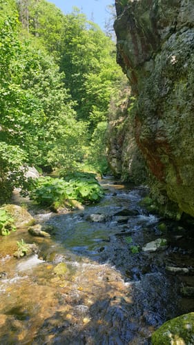 Steinachklamm-Weg KU 52