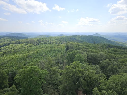 Merzalben - Weißenberg - Hermersbergerhof