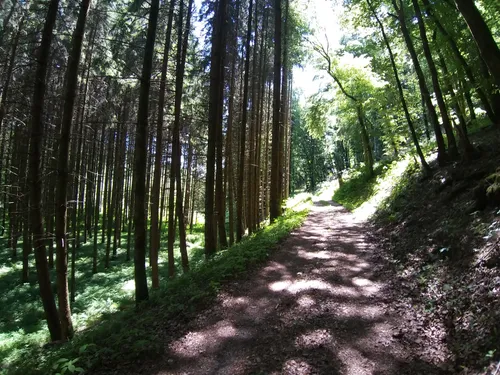 10 Best Trails and Hikes in Kalborn | AllTrails