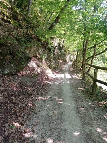 Skulpturenweg Reckenthal
