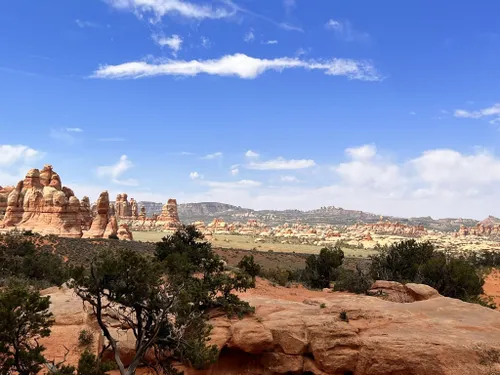 Best backpacking in clearance canyonlands