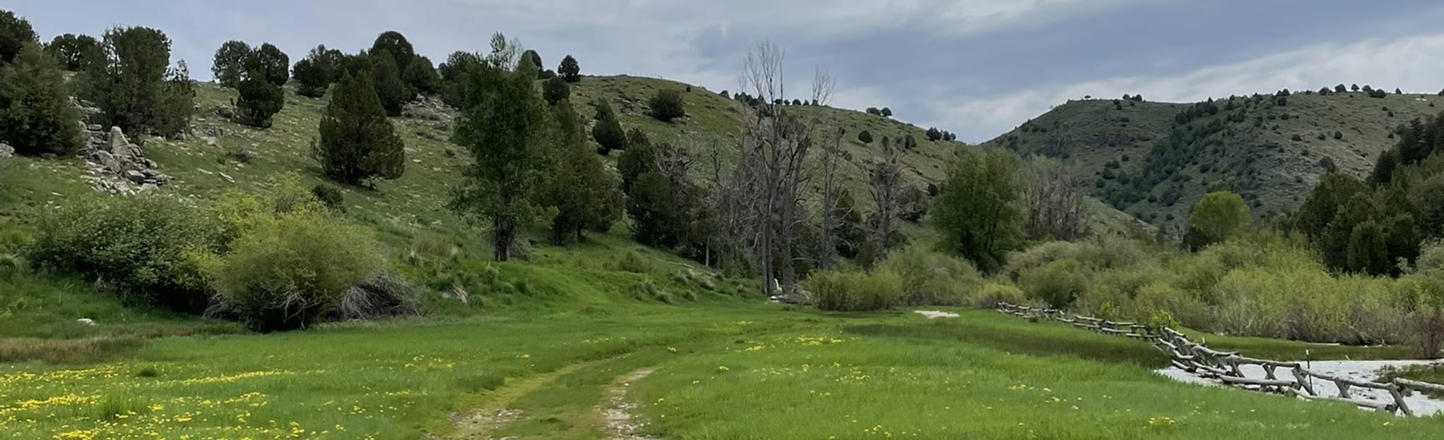 Curtis Creek Trail 21 Reviews, Map Utah AllTrails