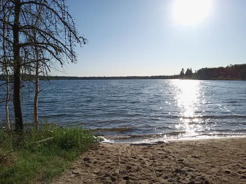 Best Forest Trails in Meadow Lake Provincial Park AllTrails