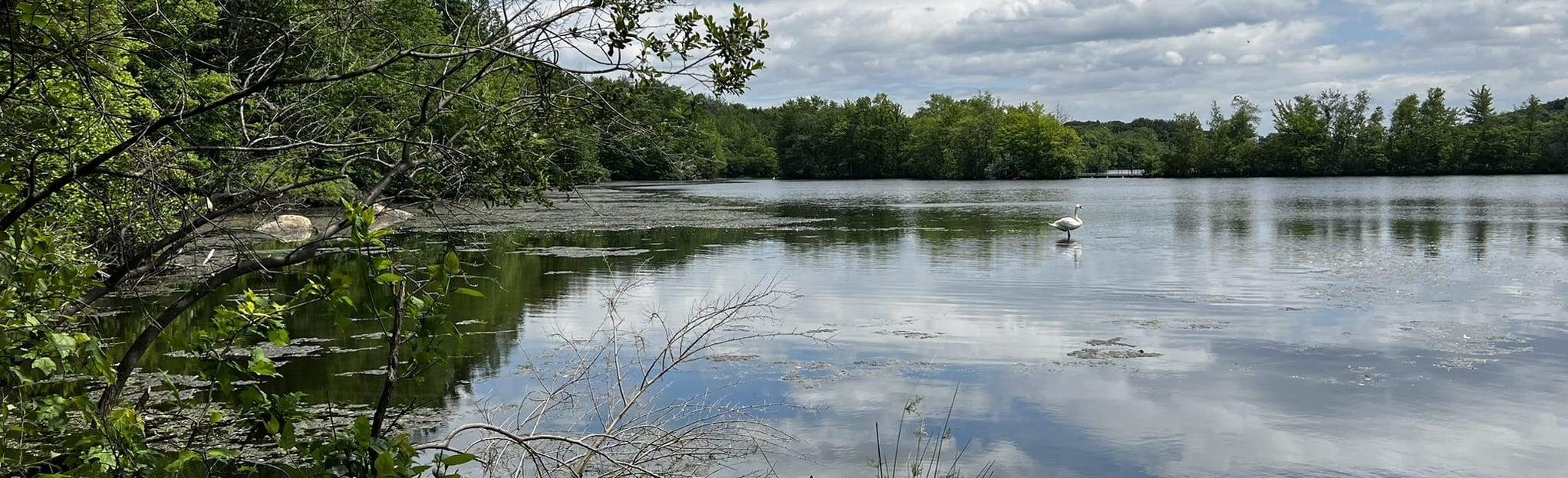 Haledon Reservoir White Trail Loop 243 photos New Jersey AllTrails