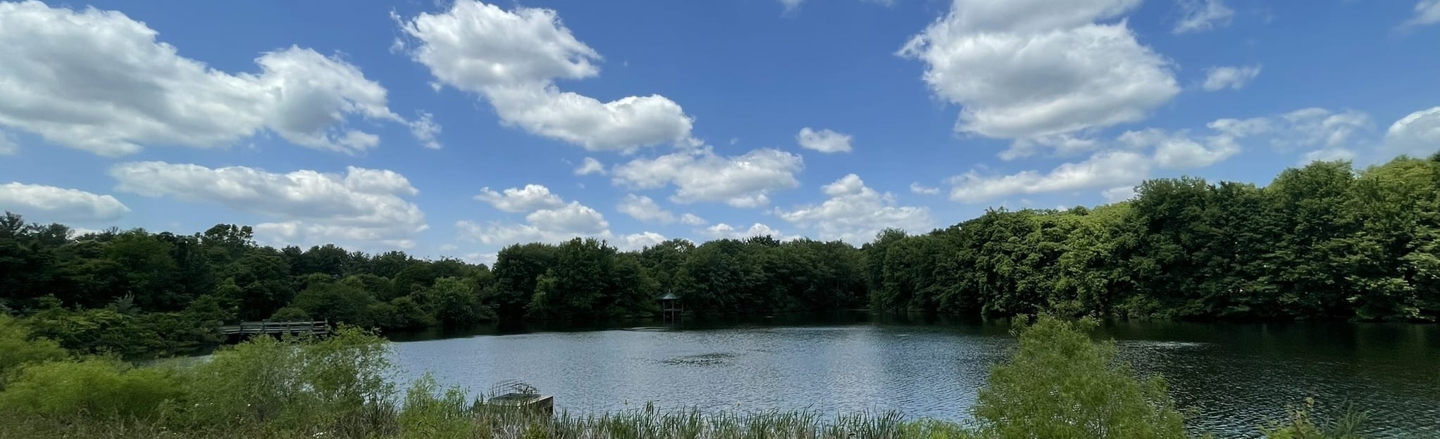 Warfield Pond Trail, Maryland 45 Reviews, Map AllTrails