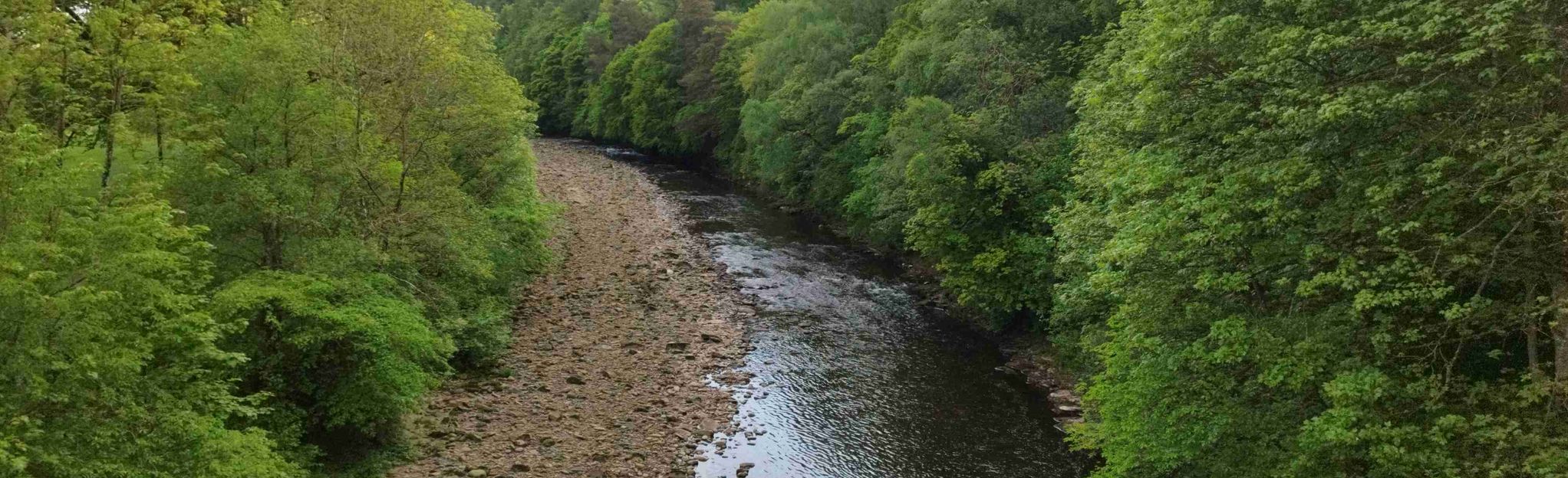 Haltwhistle to Featherstone Castle Circular: 10 Reviews, Map ...