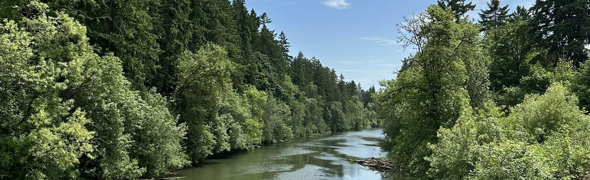 Tualatin River Trail, Oregon - 643 Reviews, Map | AllTrails