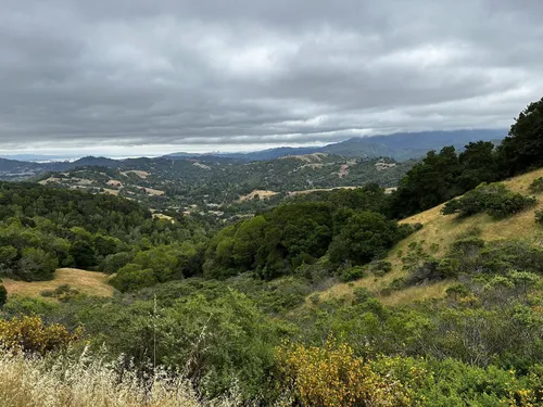 Best Hikes and Trails in San Anselmo | AllTrails