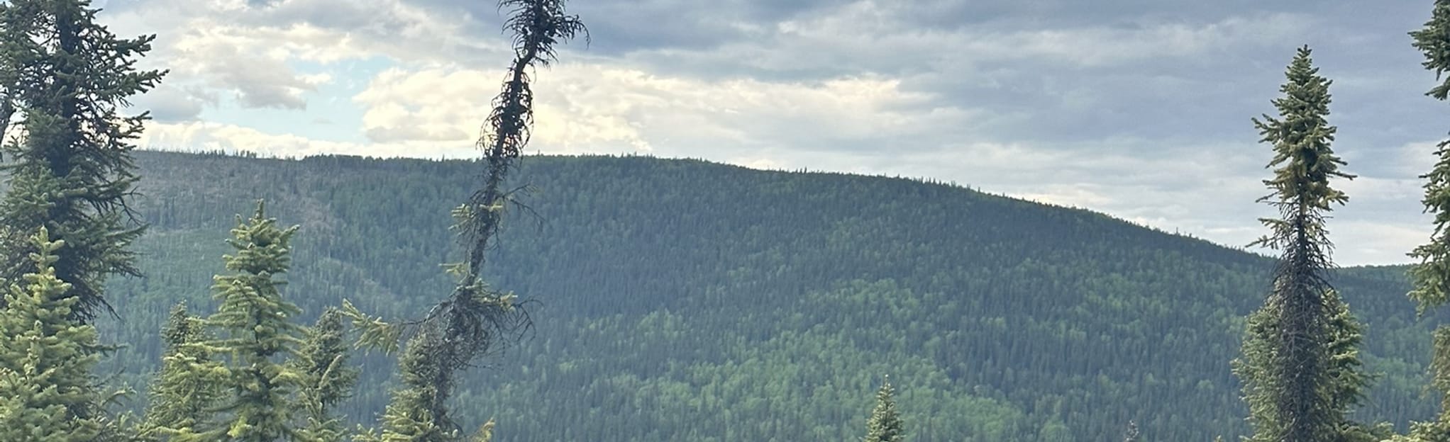 O'Connor View Middle Loop, Alaska - 6 Reviews, Map | AllTrails