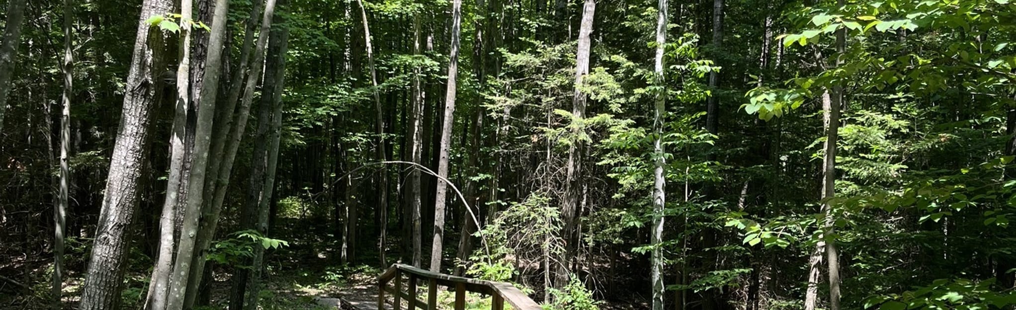 Ice Age Trail Southern Ringle Segment, Wisconsin 75 Reviews, Map AllTrails