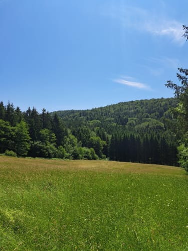 Schwarzer Fuchs, Rundwanderweg Sommerkahl