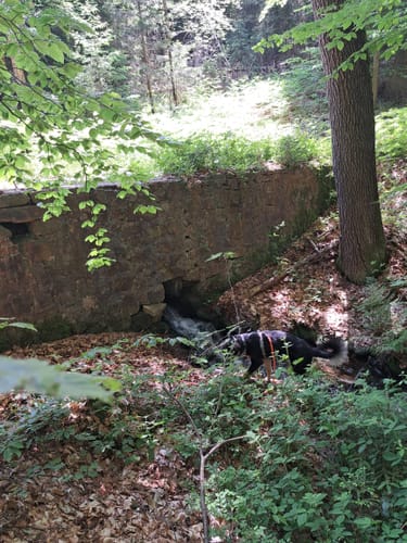 Schwarzer Fuchs, Rundwanderweg Sommerkahl
