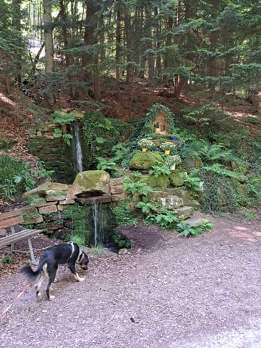 Schwarzer Fuchs, Rundwanderweg Sommerkahl