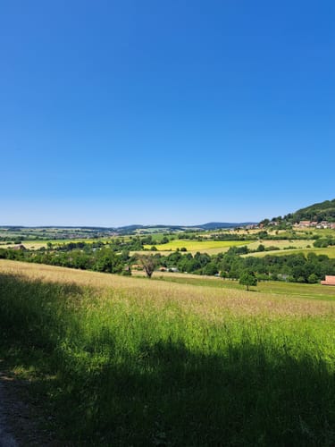 Schwarzer Fuchs, Rundwanderweg Sommerkahl