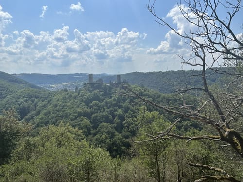 Mosel-Camino (Jakobsweg): Koblenz-Stolzenfels - Trier-St. Matthias