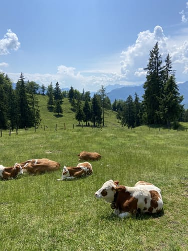 Von Mühlau auf den Gipfel der Hochplatte