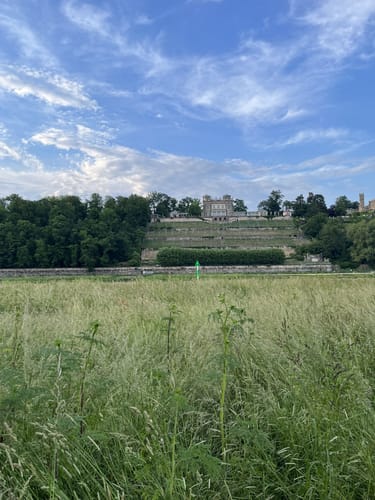 Entlang der Elbe in Dresden