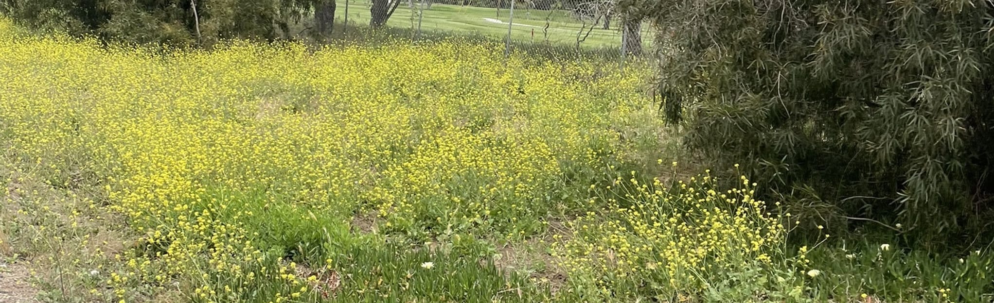 Santa Maria Valley Multipurpose Trail 66 Reviews, Map California