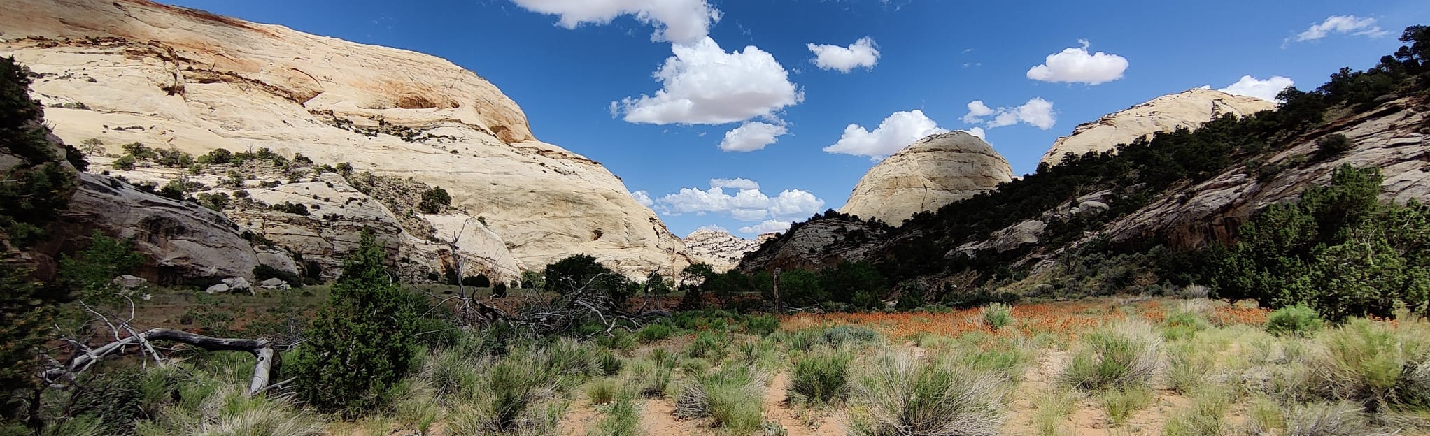 Pleasant Creek Trail 35 Reviews, Map Utah AllTrails