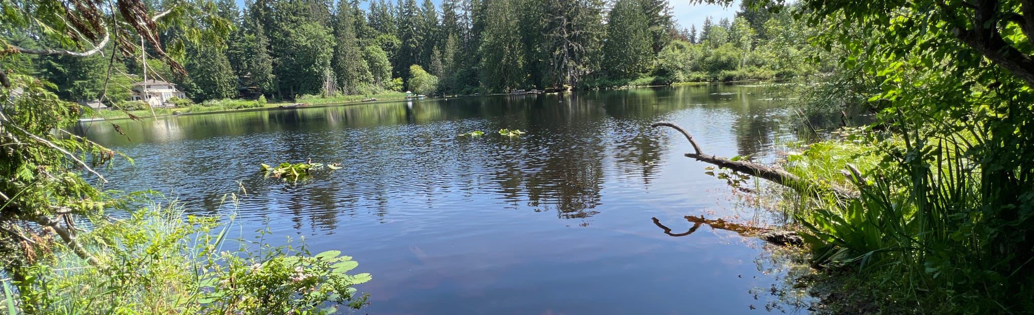 Beaver Lake Park Trail 201 Reviews, Map Washington AllTrails