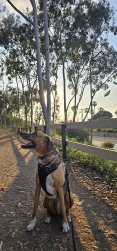 Fotos de rutas de correr en La Puente, California