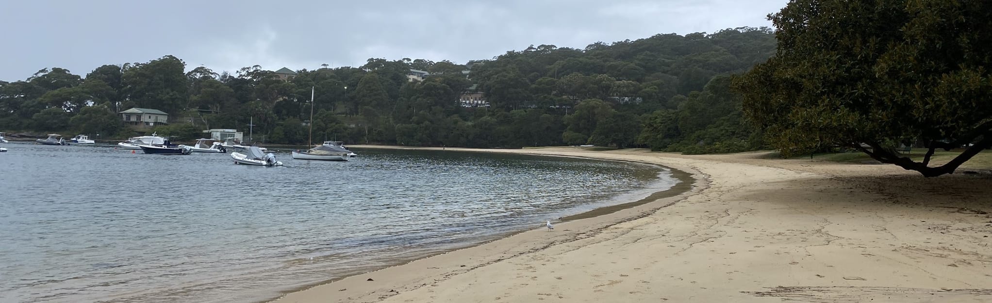 The Spit to Balmoral Beach Paddle, 5 Fotos Nueva Gales del Sur
