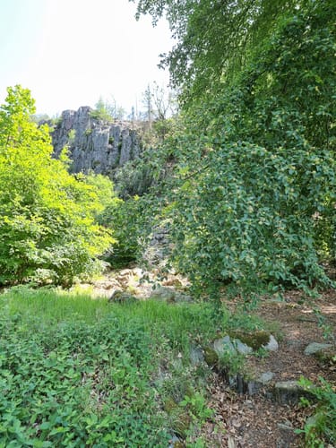 Dollbergschleife (Traumschleife)
