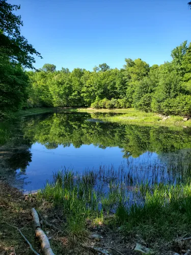 10 Best Hikes and Trails in Frederick Municipal Forest | AllTrails