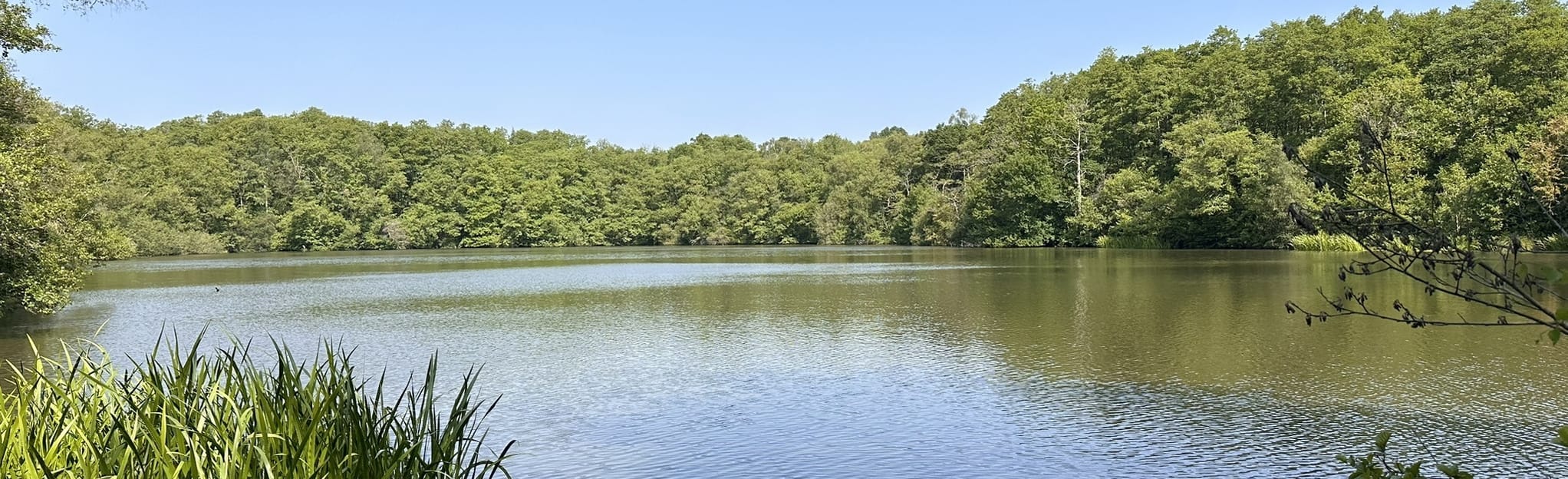 Shackleford Circular, Surrey, England 186 Reviews, Map AllTrails