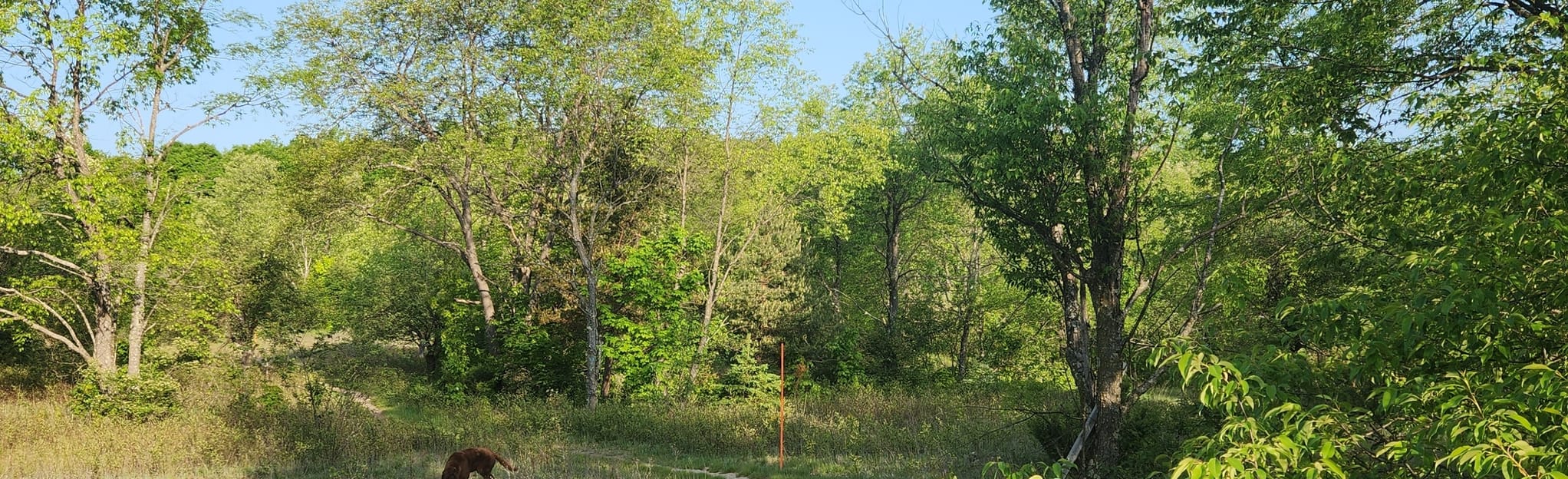 Betsie River Pathway West Loop 92 Reviews, Map Michigan AllTrails