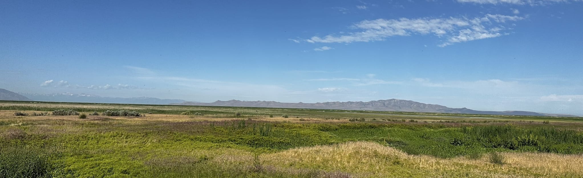Buffalo Ranches Trail: 49 Reviews, Map - Utah | AllTrails