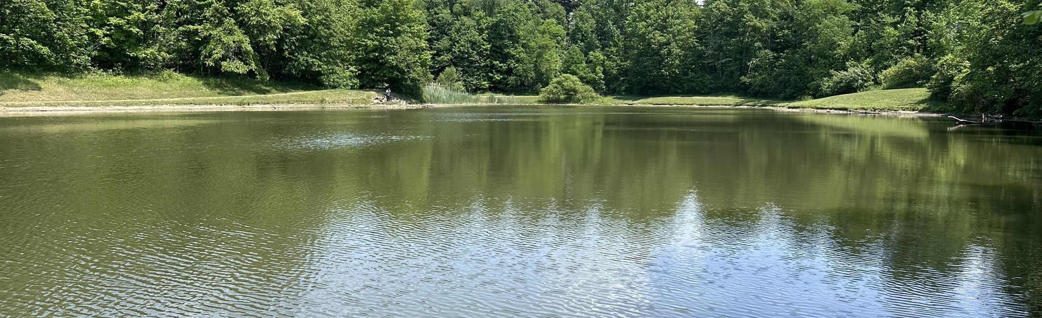 Shadow Lake Loop 44 Reviews, Map Ohio AllTrails